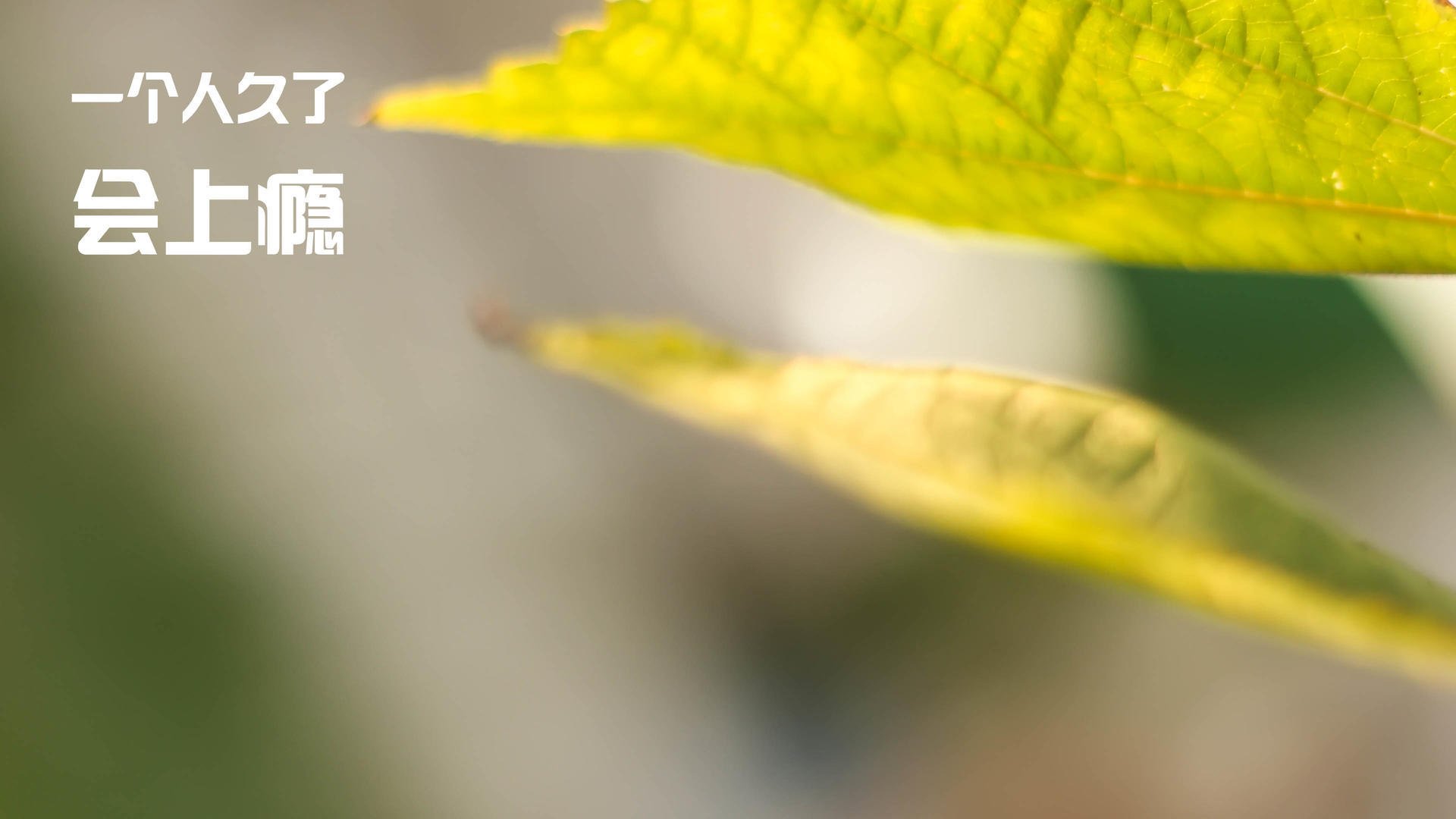 库里关键三分逆转勇士!,库里关键三分视频