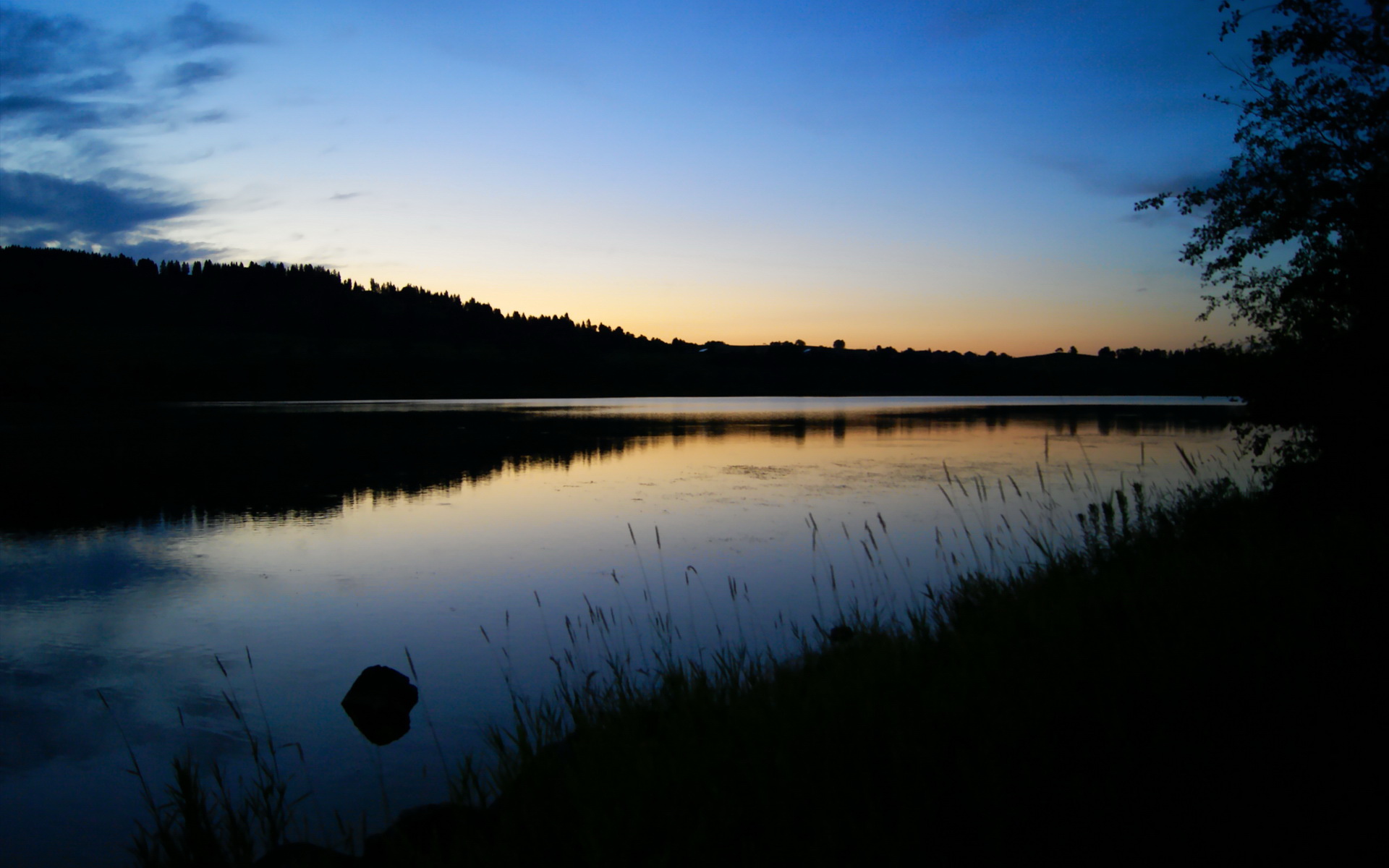 开云中国-WRC急速追击：车手如何应对突发状况？，wrc极速